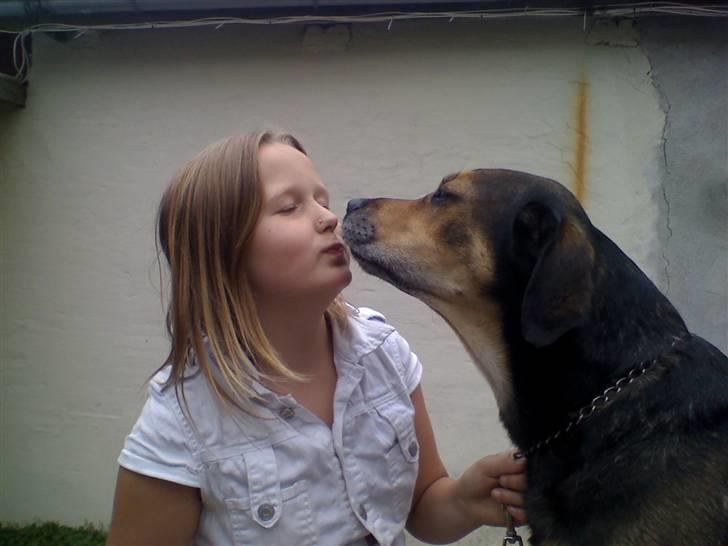 Blanding af racer basse - malene og basse kysser billede 15