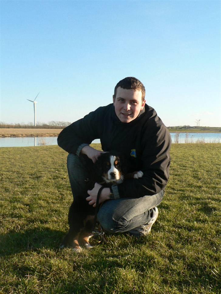 Berner sennenhund Ofelia - Ofelia med sin far billede 7