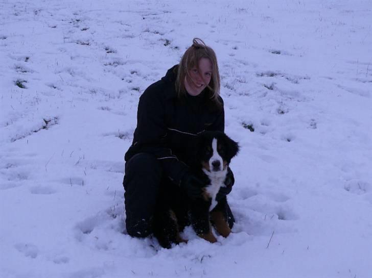 Berner sennenhund Ofelia - Ofelia med sin mor billede 11