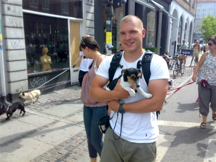 Jack russell terrier Lilo - Her er vi med til Hundens Dag i København. Der var lidt mange hunde, så størstedelen af turen foregik på "fars" arm. billede 14
