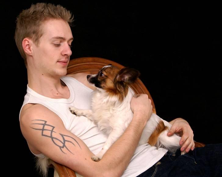 Papillon Alicia - og her sammen med sin ´bror´ billede 4