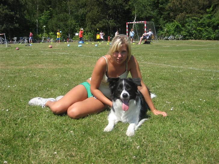 Border collie Nemo - Mig og Nemo billede 13