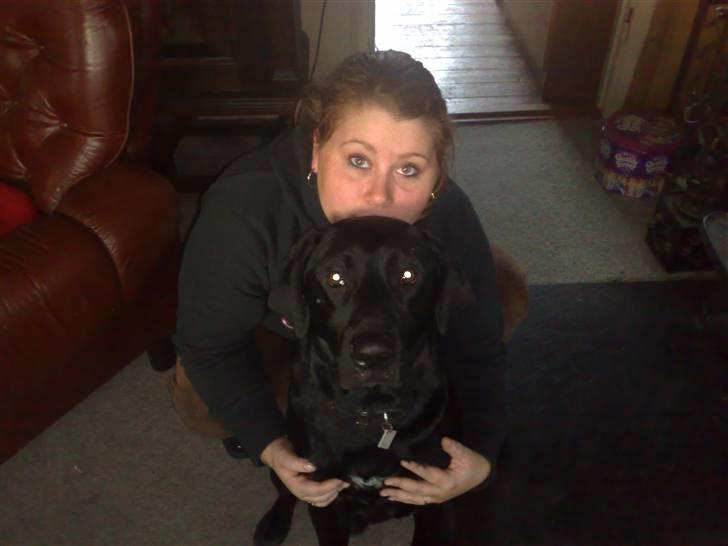 Blanding af racer Kenzo billede 11