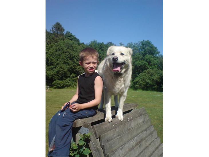 {{currentPhoto.altText}} billede {{currentPhoto.number}}