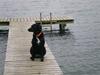 Flat coated retriever bonnie