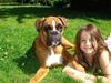 Boxer Freja