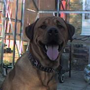 Blanding af racer bastian 