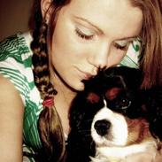 Cavalier king charles spaniel Freya