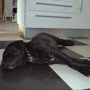 Blanding af racer Lambda