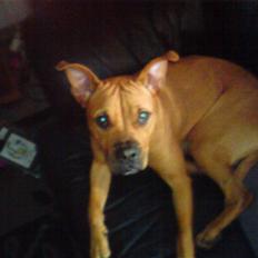 Blanding af racer Bertha