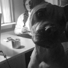 Blanding af racer Bertha