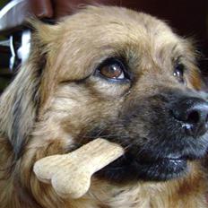 Blanding af racer Joy