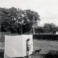 Dvaergpinscher pjevs 