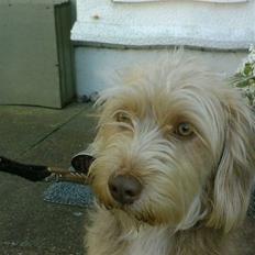 Blanding af racer jona<33 minh