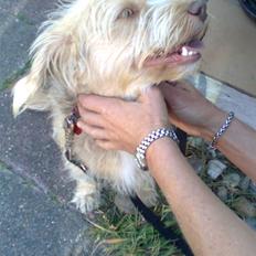 Blanding af racer jona<33 minh