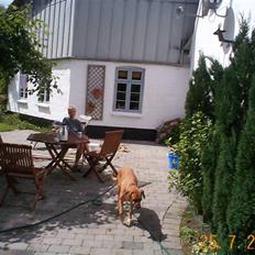 Blanding af racer Maxi *RIP*