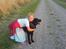 Labrador retriever Balto