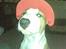 Blanding af racer (bullterrier) Gizmo R.I.P