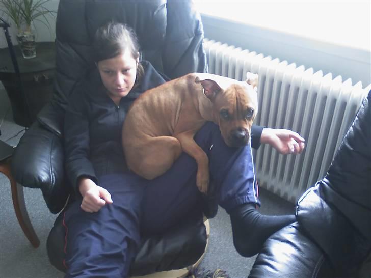 Blanding af racer Bertha - Hehe min veninde og Bertha tager en slapper :)  billede 8