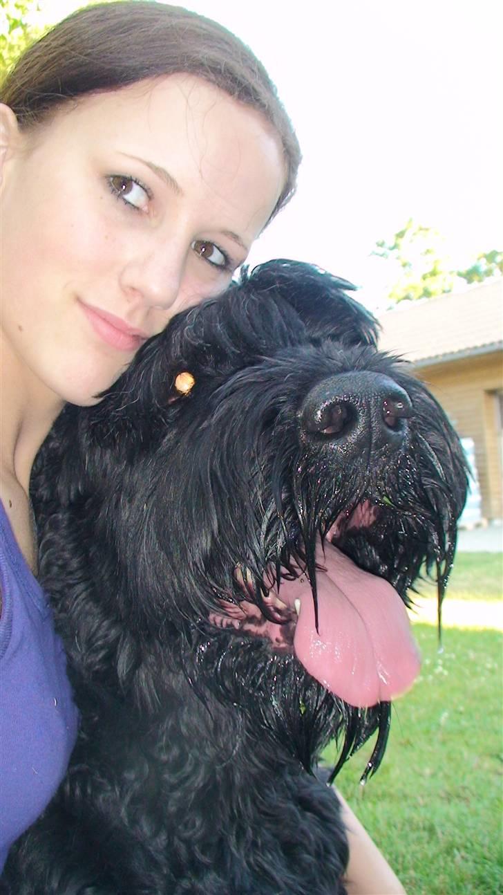 Sort russisk terrier Romanov - Død - Min bedste ven. <3 billede 11