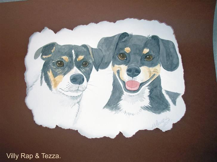 Dansk svensk gaardhund Villy Rap ¤ 22 febr.2006¤ - Denne tegning er lavet af en maler fra Bornholm. billede 16