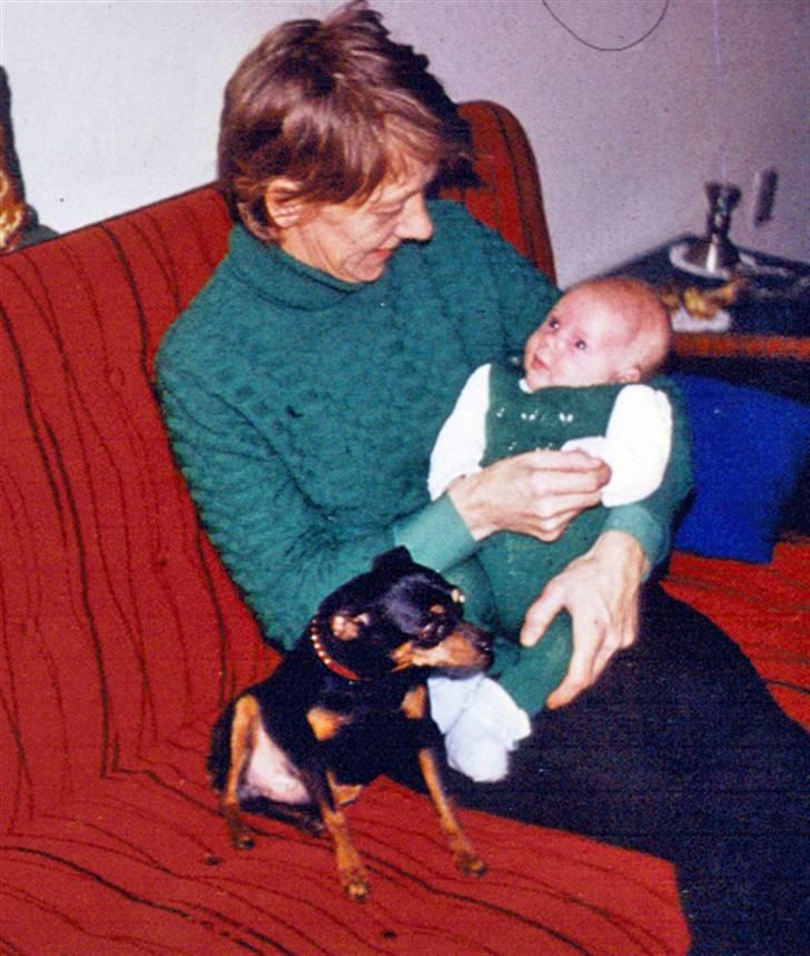 Dvaergpinscher pjevs  - min mor og niece sammen med Pjevs billede 4