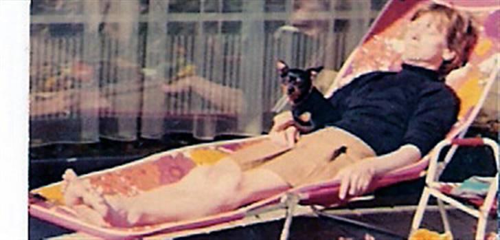 Dvaergpinscher pjevs  - Pjevs og min mor i drømmeseng - jo jo det var i 70´erne :D billede 5