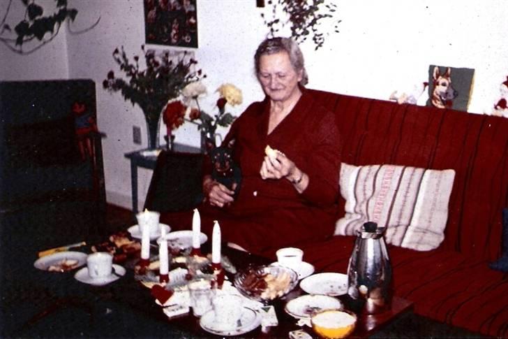 Dvaergpinscher pjevs  - min bedstemor smager på småkagerne sammen med Pjevs billede 6