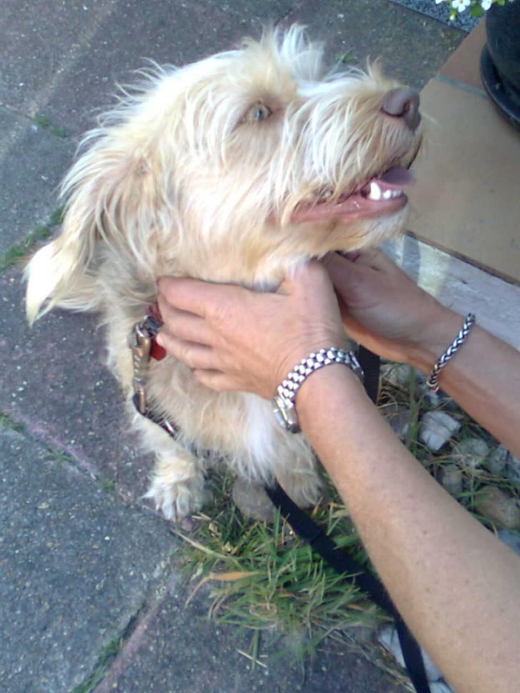 Blanding af racer jona<33 minh - jeg elsker at blive nusset med:P billede 2