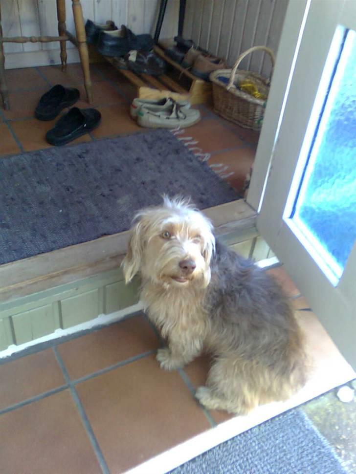 Blanding af racer jona<33 minh - heej:P billede 4