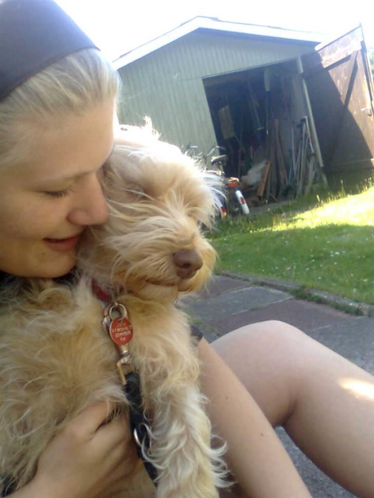 Blanding af racer jona<33 minh - ja en krammer billede 9