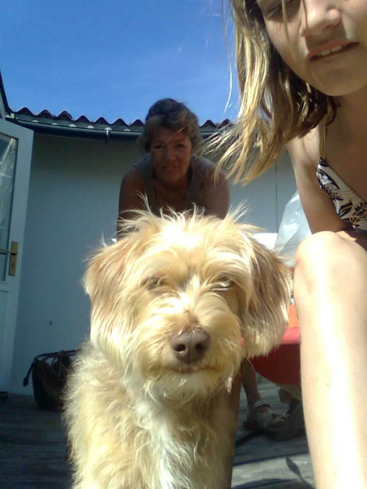 Blanding af racer jona<33 minh - heej:P:P billede 14