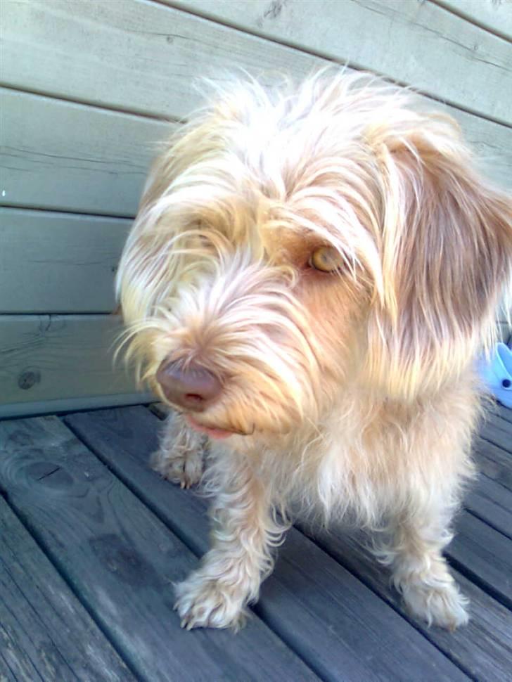 Blanding af racer jona<33 minh - mmhh hej billede 15