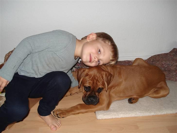 Boxer Bano - Hygger med nevø Sofus billede 2