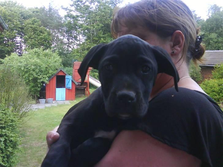 Blanding af racer Camie <3 - #2 Camie Hos mor billede 2