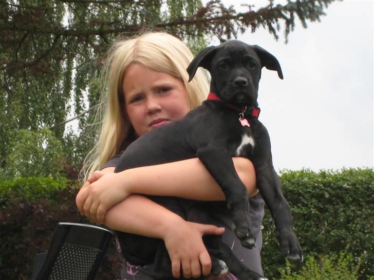 Blanding af racer Camie <3 - #8 Camie hos min lillesøster, Lotte (: billede 8