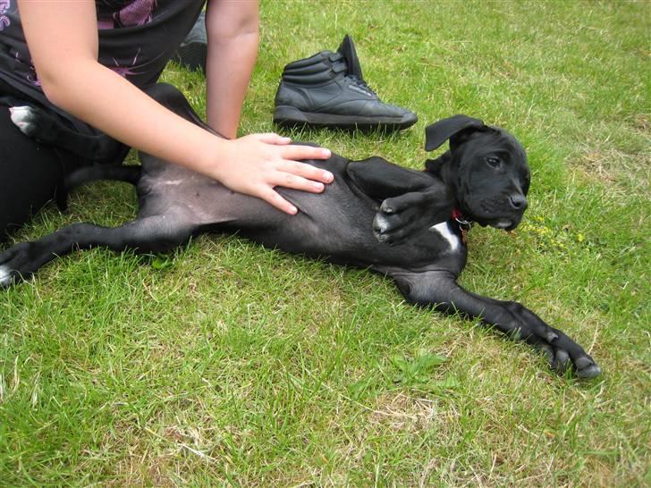 Blanding af racer Camie <3 - #9 Uhh, det er godt lige der :b billede 9