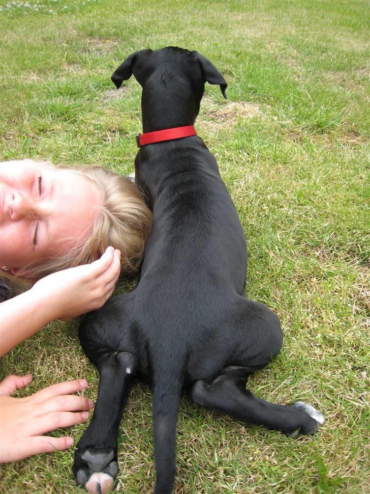 Blanding af racer Camie <3 - #10 Camie muller min lillesøster, Lotte (; billede 10