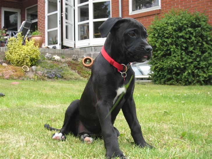 Blanding af racer Camie <3 - #12 Jah, her sidder vi jo godt (; billede 12