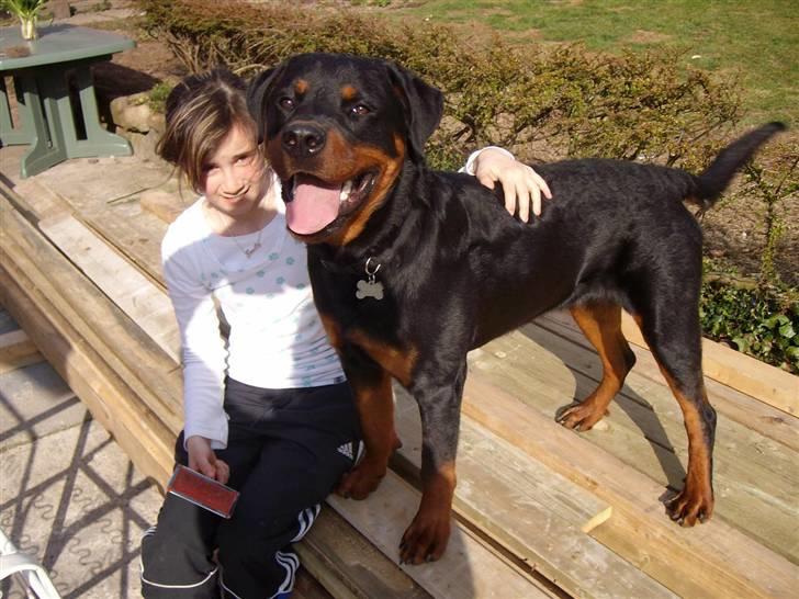 Rottweiler Aslan - Aslan og min lillesøster billede 5