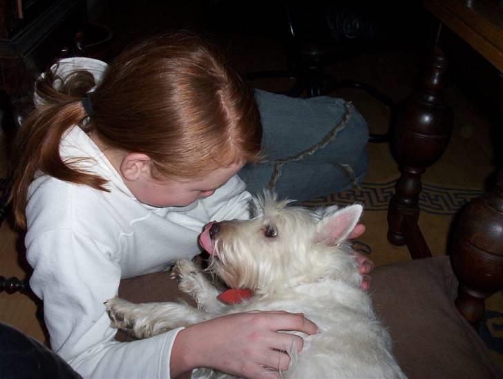 West highland white terrier Magnus - Magnus og jeg, i løbet af den første måned vi havde hende i 2004. billede 4