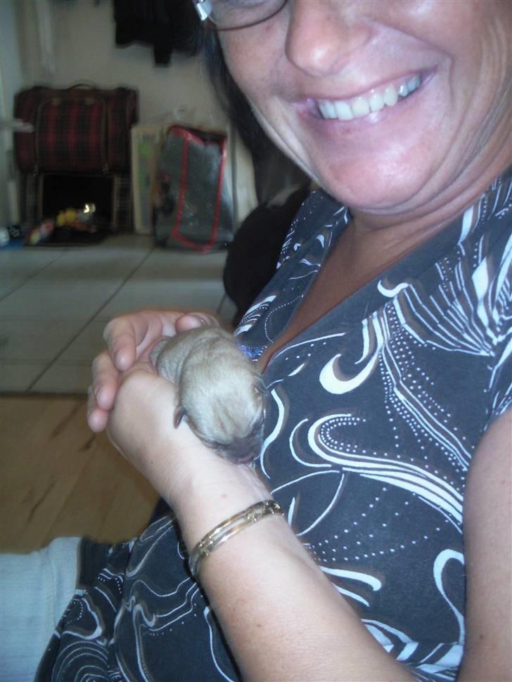 Blanding af racer TriQo - Her sidder jeg med oldemor billede 5