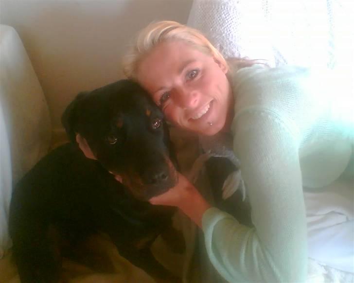 Rottweiler Jilly - her er jeg ikke ret gammel billede 12