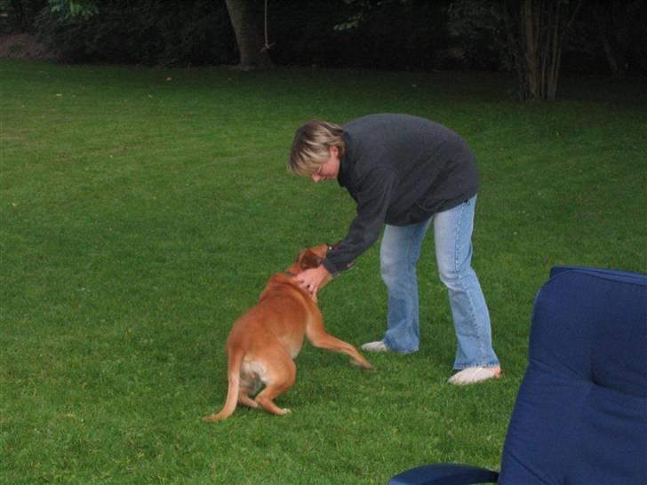 Blanding af racer Maxi *RIP* billede 8