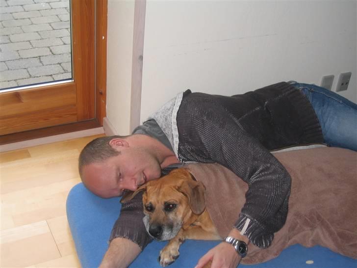 Blanding af racer Maxi *RIP* - de sidste dage billede 11