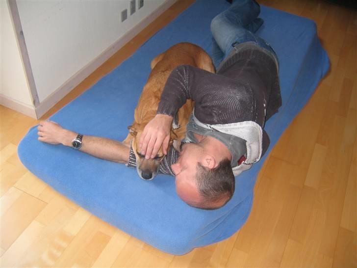 Blanding af racer Maxi *RIP* - de sidste dage billede 12