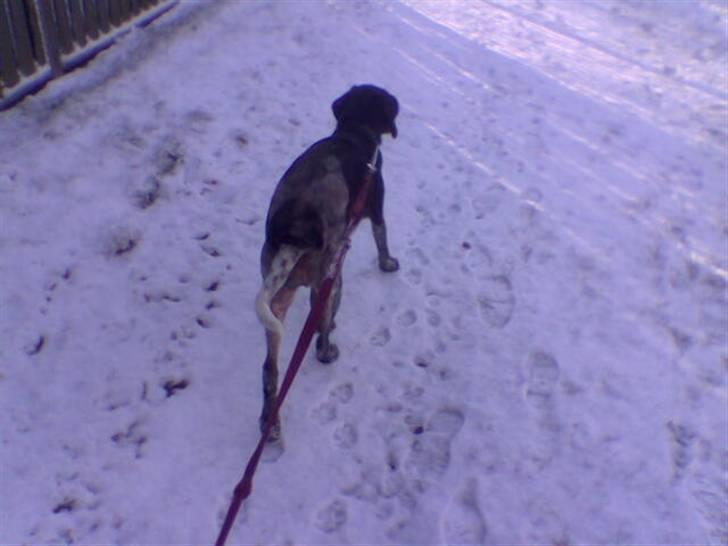 Blanding af racer noa <3*RIP*<3 billede 12