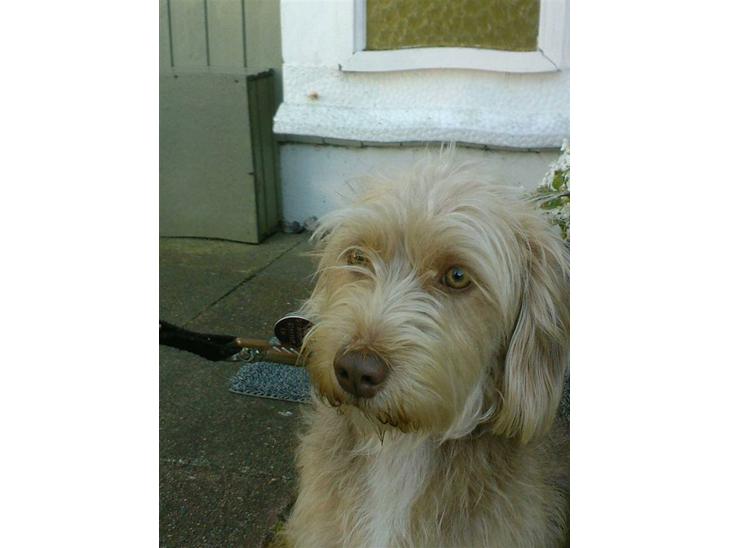 {{currentPhoto.altText}} billede {{currentPhoto.number}}