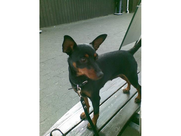 {{currentPhoto.altText}} billede {{currentPhoto.number}}