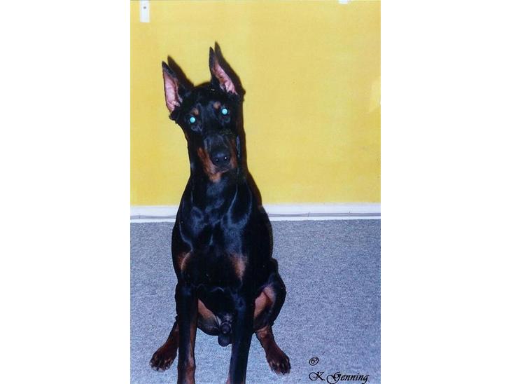 {{currentPhoto.altText}} billede {{currentPhoto.number}}